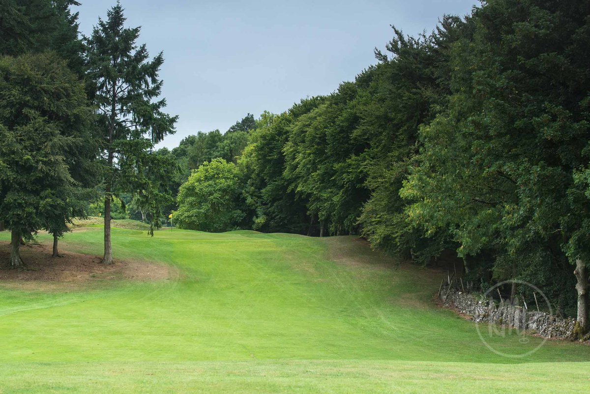 kevinmarkham's tweet photo. Review 3 @portumnagc Such parkland elegance is captivating. Lost in deep forest, lone oak trees stride through the heart of an old estate (as do deer) creating an almost regal rhythm. With plenty of movement this is a big game course with loads of variety and some tricky greens https://t.co/ag5sDW1wp8