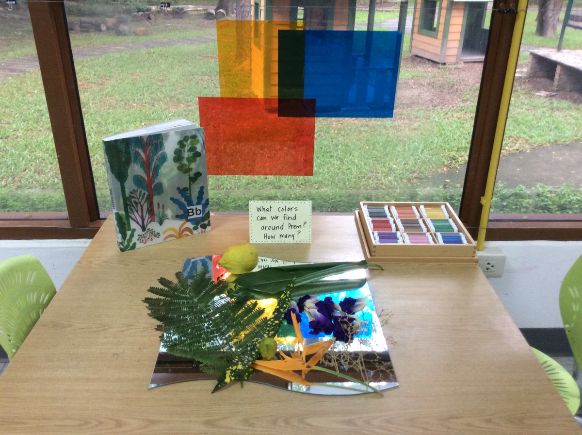 TauraKhongsat's tweet photo. Another invitation for the children to explore color in our natural environment. I wonder how many colors we will be able to find!
#reggioinspired #playbasedlearning #pypchat #exploringwithoursenses #roleoftheenvironment https://t.co/kHnq5FF4qj