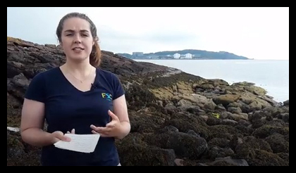 FSC Margam tweet media