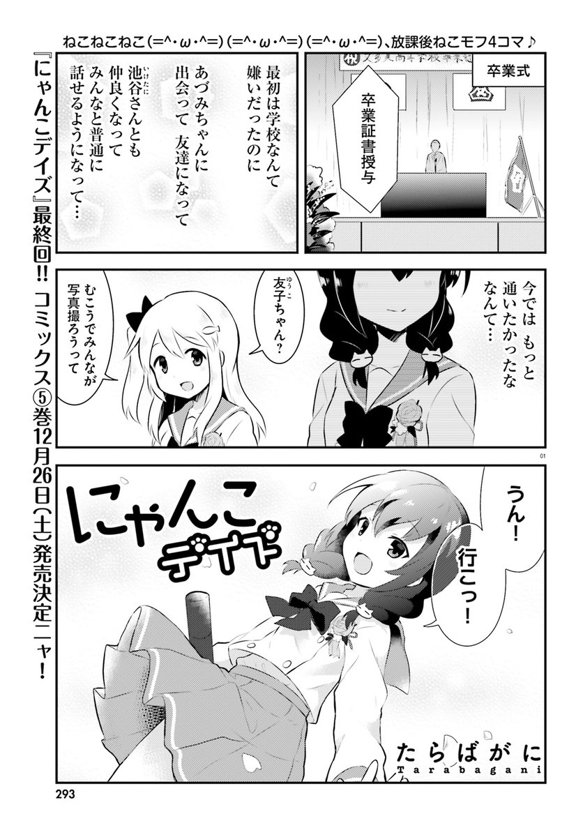 にゃんこデイズ公式 連載情報 発売中のコミックキューン12月号に にゃんこデイズ 最終回が掲載中ニャ 友子がついに卒業式 まーたちも卒業式やりたい コミックス 巻も12月26日 土 発売決定 にゃんこデイズ