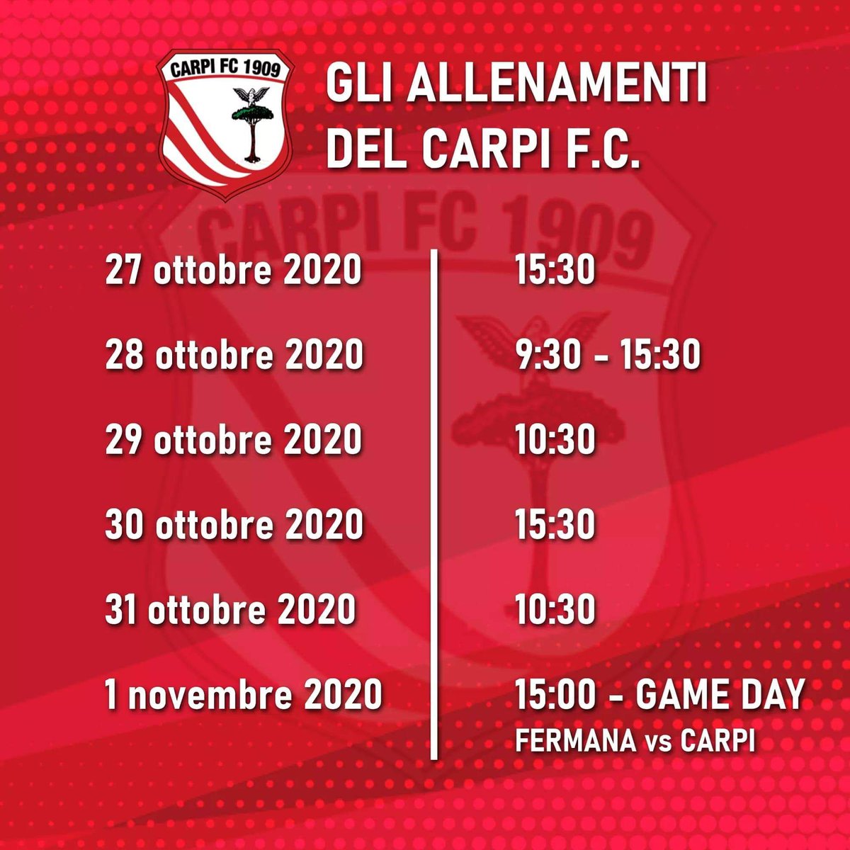 ac_carpi's tweet image. RIPRENDONO OGGI I LAVORI IN VISTA DELLA TRASFERTA IN CASA DELLA FERMANA 

🕒Ore 14.30 Tamponi
🕒Ore 15.30 Allenamento

#ForzaCarpi #SerieC #weeklyprogram #FieriDeiNostriColori #FERCAP 🇲🇨