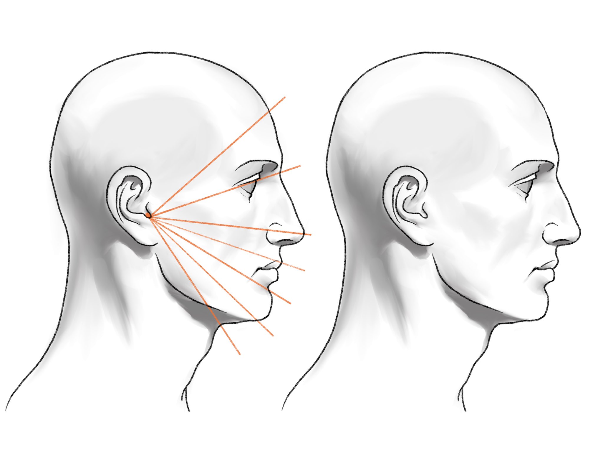 伊豆の美術解剖学者 耳 珠間切痕 から横顔のおおよそのプロポーションを導き出す方法 T Co Nzhi0bj6lz Twitter