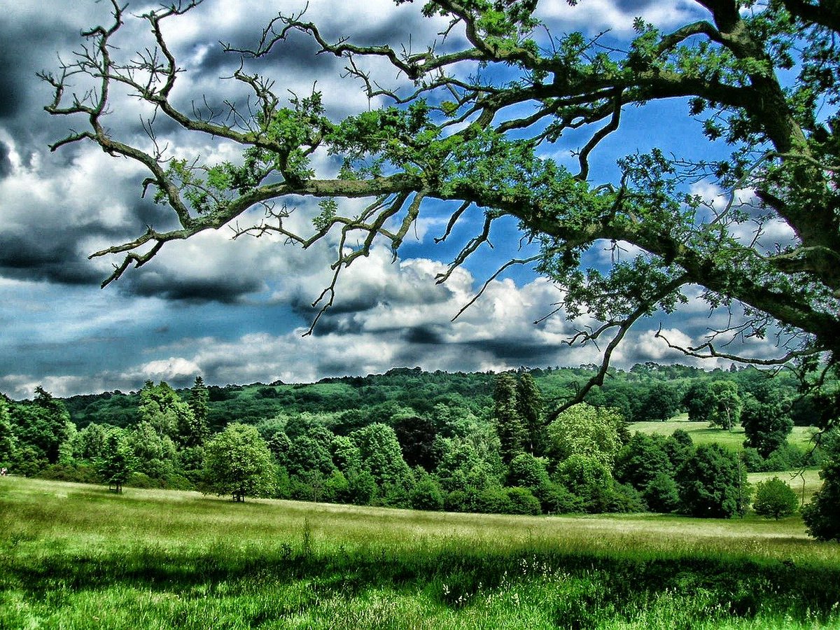 lookforplace's tweet photo. #Coutnryside #Kent #Inited #Kingdom https://t.co/Z7YCJJNU0n
