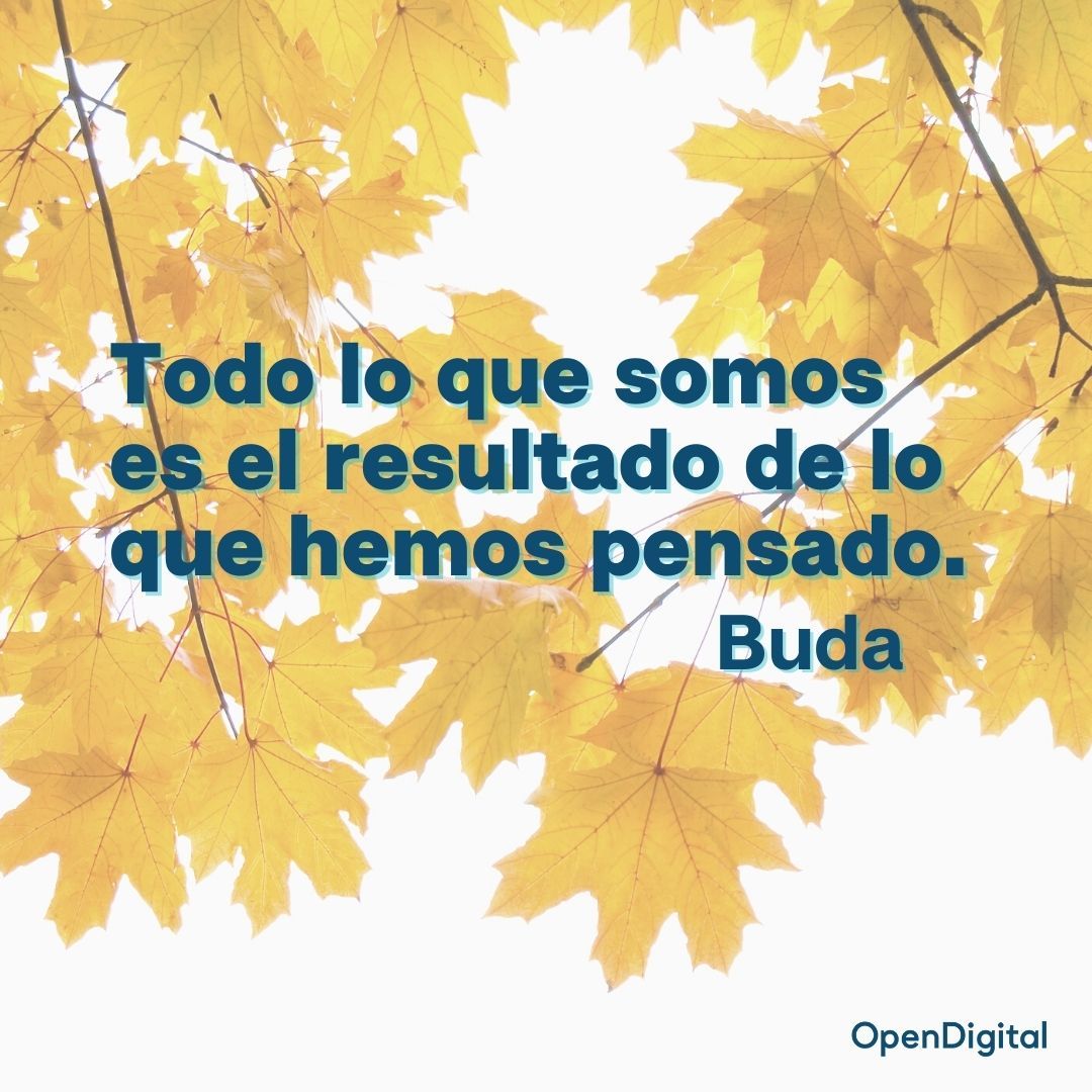 OpenDigitales's tweet photo. ¡Feliz Martes! Esperamos que hayas superado el Lunes exitosamente y que este segundo día de la semana sea una nueva oportunidad para ti😍 

Hoy pasamos por aqií para dejarte esta cita de Buda, ¿qué opinas? te leemos en los comentarios👇 

💙 #OpenDigital 📲 #MarketingDigital https://t.co/ragTNO00hm