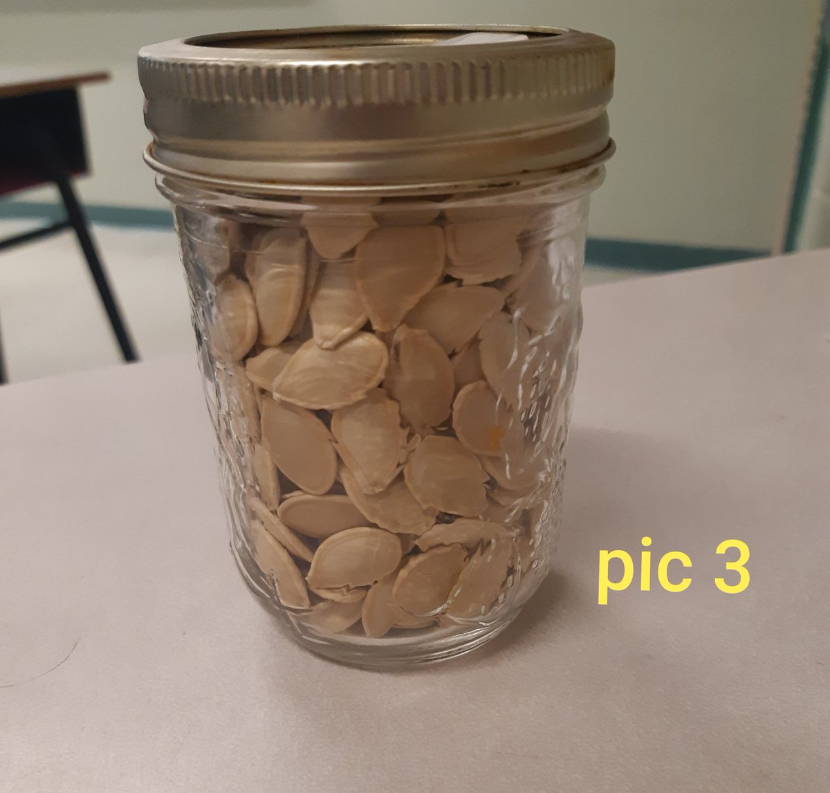 S_Achkar's tweet photo. Yesterday Mdle Ferguson's students @RmsMiddle were presented with these pictures (equal # of seeds in each). The student were asked to refine their estimations before the big reveal. It was so nice to hear their reasoning and to see their reactions!! #HRCEmath #3actmathtask https://t.co/5YMz6Oxy3D