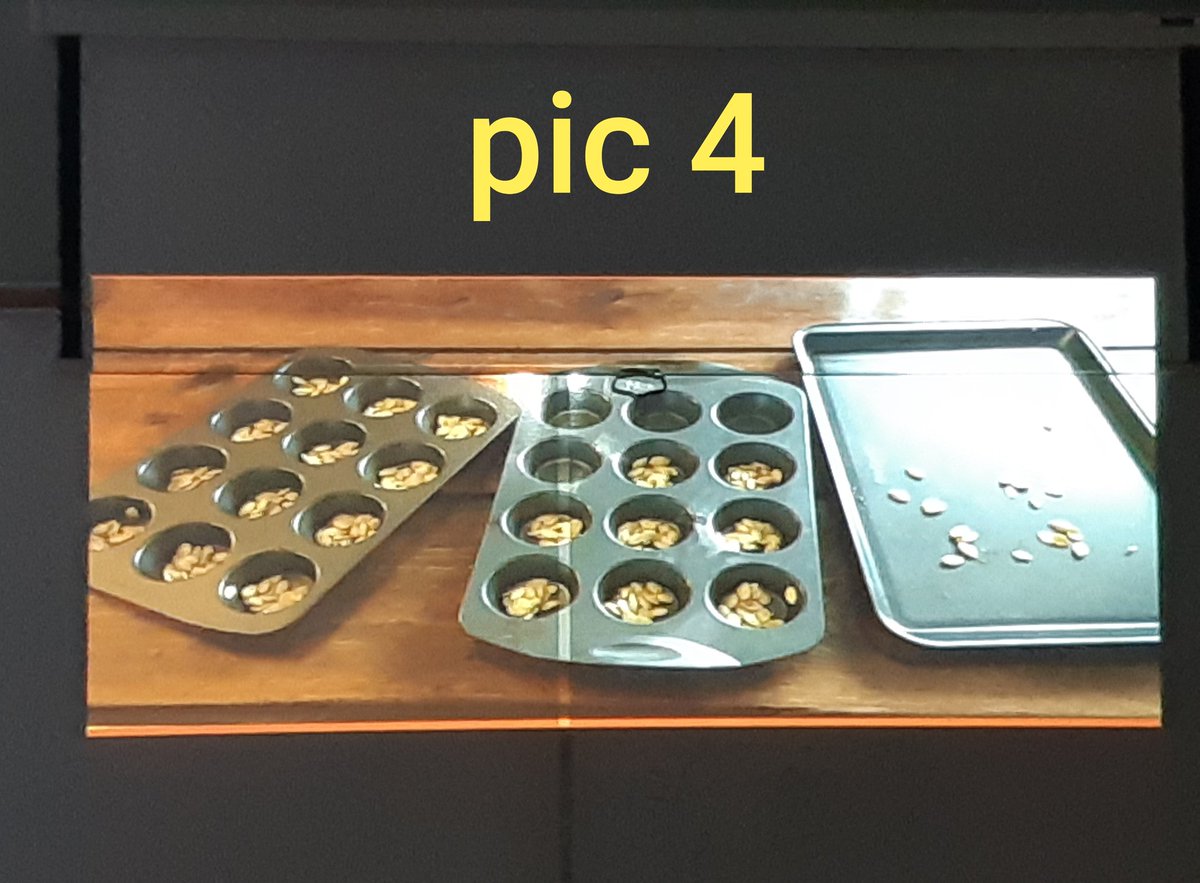S_Achkar's tweet photo. Yesterday Mdle Ferguson's students @RmsMiddle were presented with these pictures (equal # of seeds in each). The student were asked to refine their estimations before the big reveal. It was so nice to hear their reasoning and to see their reactions!! #HRCEmath #3actmathtask https://t.co/5YMz6Oxy3D