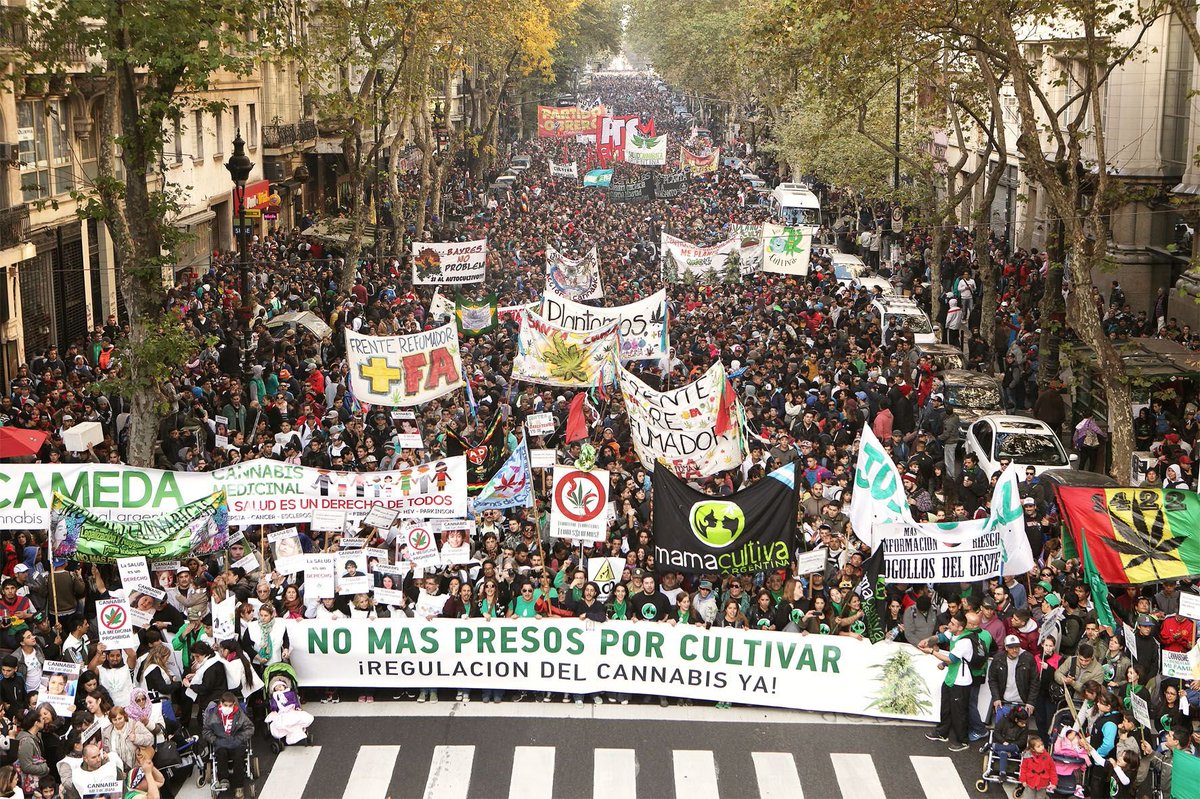 lourdescr3's tweet photo. 📣Bancos de semillas,asociaciones, clubes, federaciones, cultivadoras, usuarias, pacientes, familiares, docentes, personal sanitario, investigadoras, defensoras de los DDHH, activistas...
Ante el #NinguneoMediático y el #Prohibicionismo 
✊ #UniónCannábica como respuesta. https://t.co/fvleYCxJPg