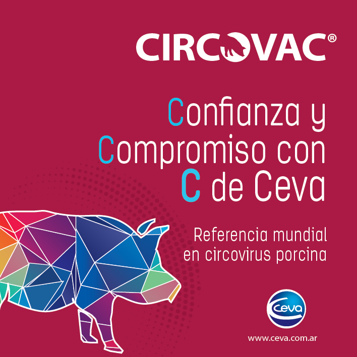 CevaConoSur's tweet image. Beneficios demostrados de #Circovac en estudios de campo: la vacunación de las madres con #Circovac puede reducir la incidencia de lesiones asociadas a la infección por #circovirus en los tejidos linfoides de los lechones.
Circovac: confianza y compromiso con C de Ceva
#OneCeva