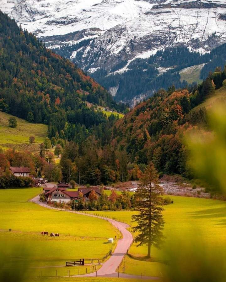 OnlyNatureplace's tweet photo. Amazing Nature View 🌼🌸🌼 https://t.co/u01RRfnfZS