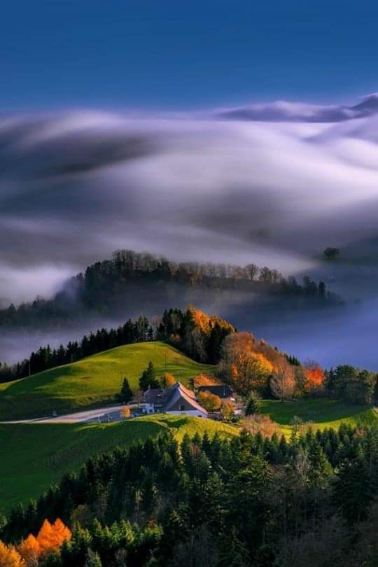 OnlyNatureplace's tweet photo. Amazing Nature View 🌼🌸🌼 https://t.co/u01RRfnfZS