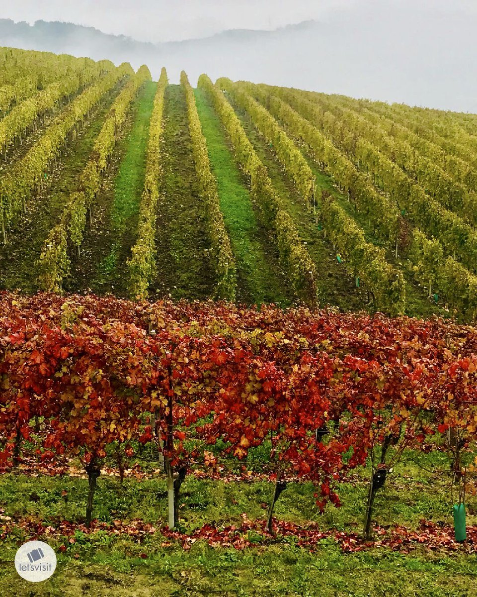 Let's Visit Piemonte tweet media