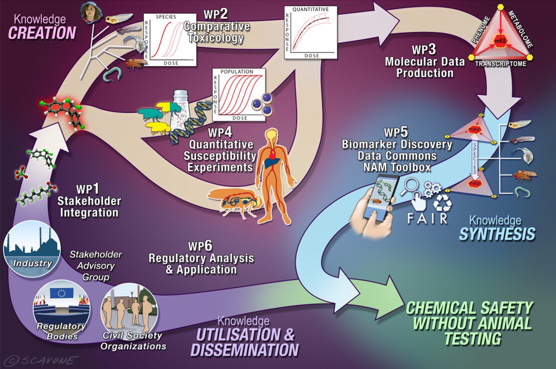 MisvikBiology tweet media