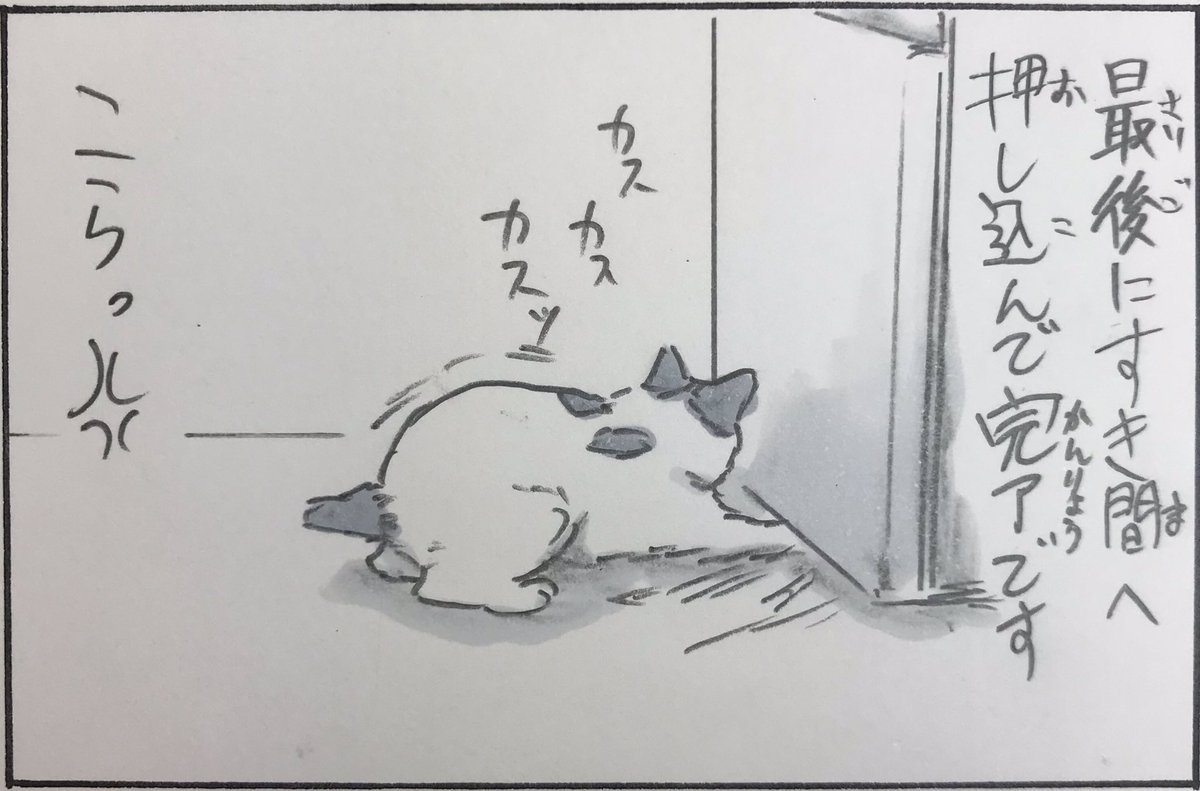 『猫のお仕事』 