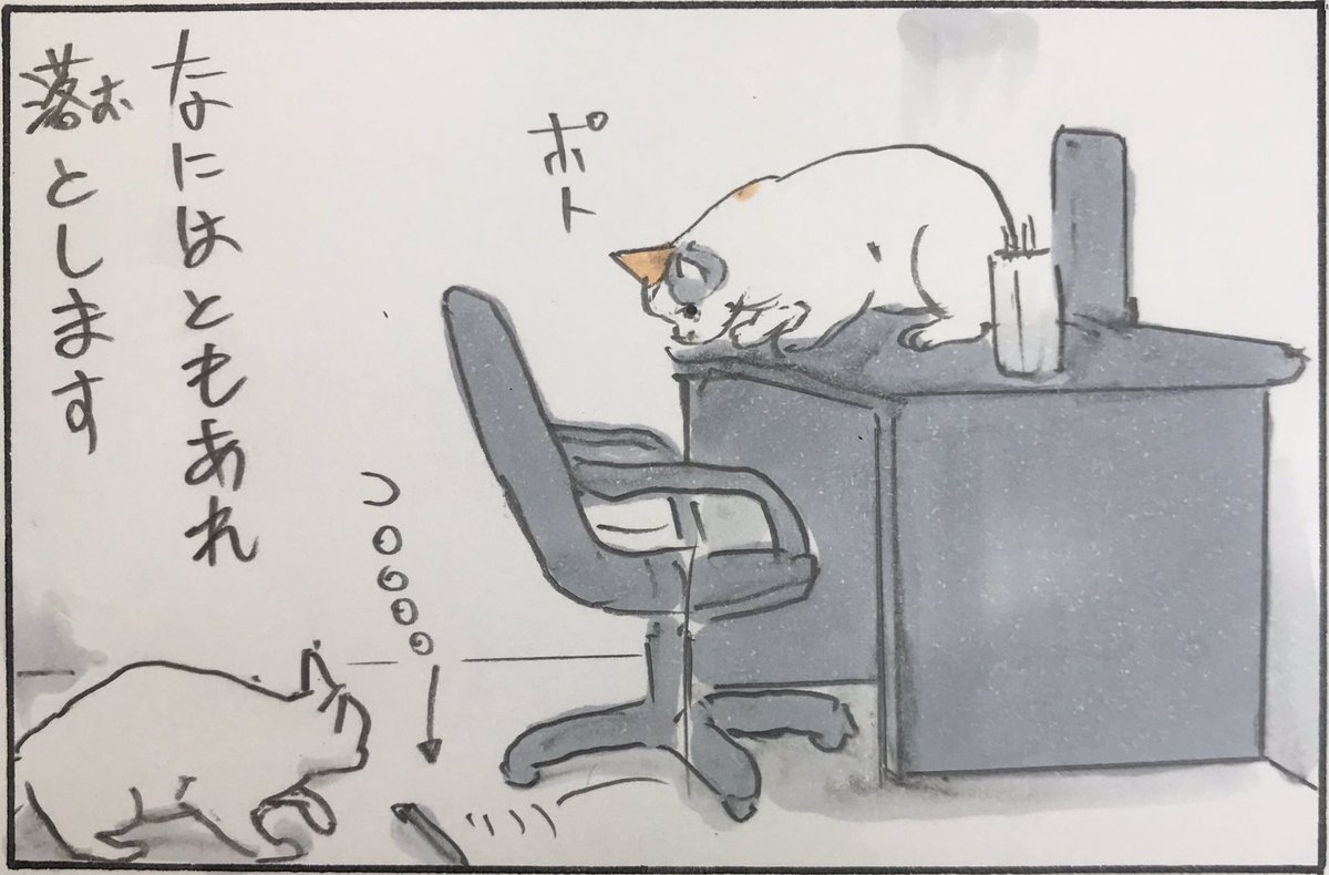 『猫のお仕事』 
