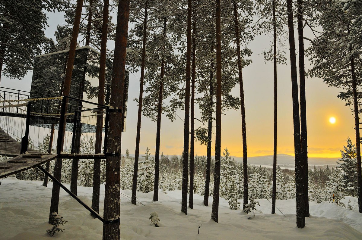 ferrerysaret1's tweet photo. ¿Sabías que las las bajas temperaturas son ideales para la práctica del ejercicio y ayudan a reducir la presión sanguínea y a liberar endorfinas?

¿Conectamos este invierno?

#FerrerySaret #LuxuryTravel #Suecia #Theartoftravel https://t.co/UFobmd6xo7