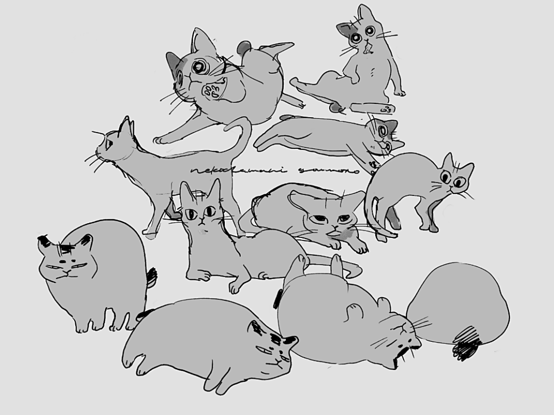 #ねこだまり 