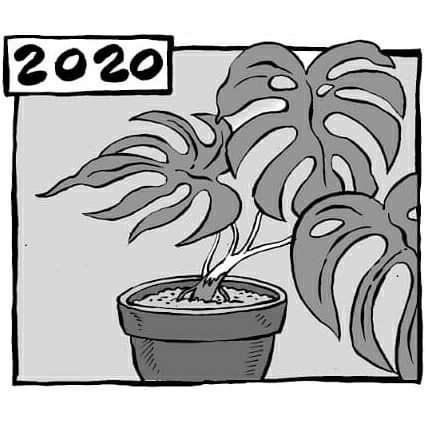 HoldenKlasik's tweet photo. What's next mbah?
Luweh aku tetap mobil tua 🤘 https://t.co/tm50h5dBUq