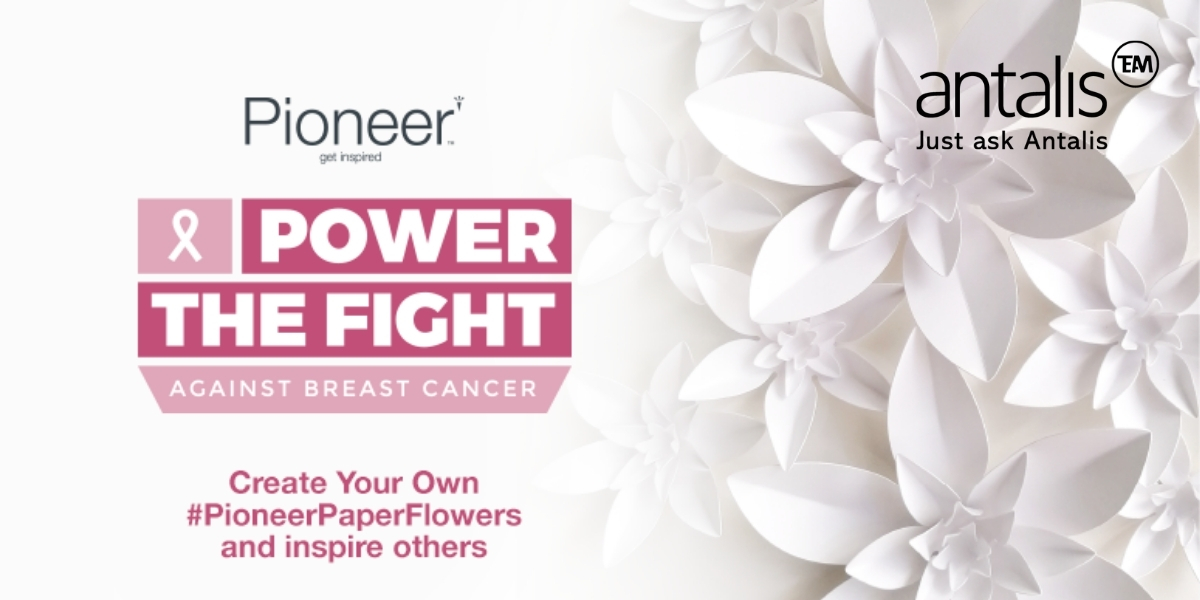 U heeft nog een paar dagen om mee te helpen in de strijd tegen borstkanker, samen met Pioneer. Ontdek de actie: pioneer-paper.com/flowers/

#PioneerPaperFlowers