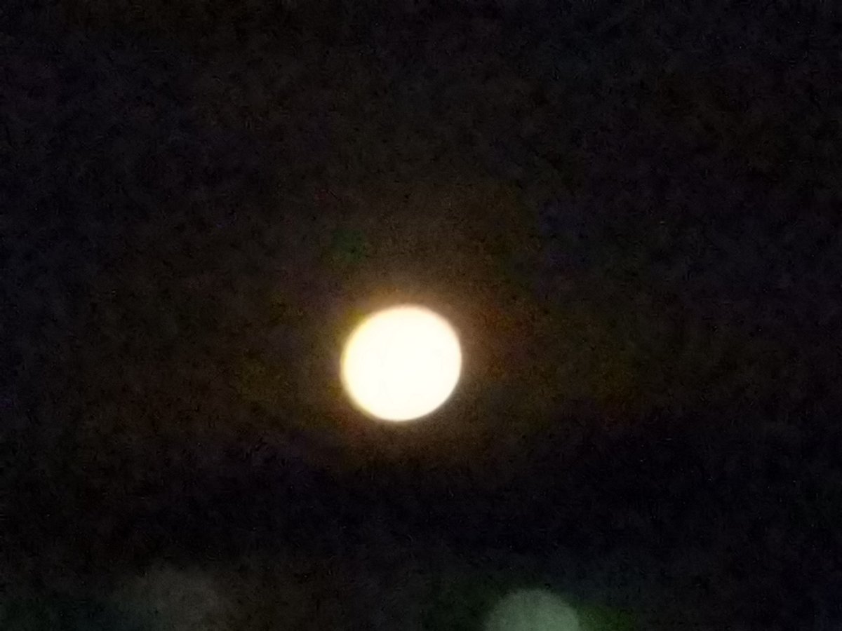 NewBertrand's tweet image. &quot;Autour d&apos;un thé sucré,
au meilleur miel, 
sous la lumière de la lune, 
nous choisirons
l&apos;entente plus que la discorde.&quot; 

#mathematics #histoire #rythms #astronomia #Science #art #moon #lune #luna #orient #occident
 La #danse du Cœur.