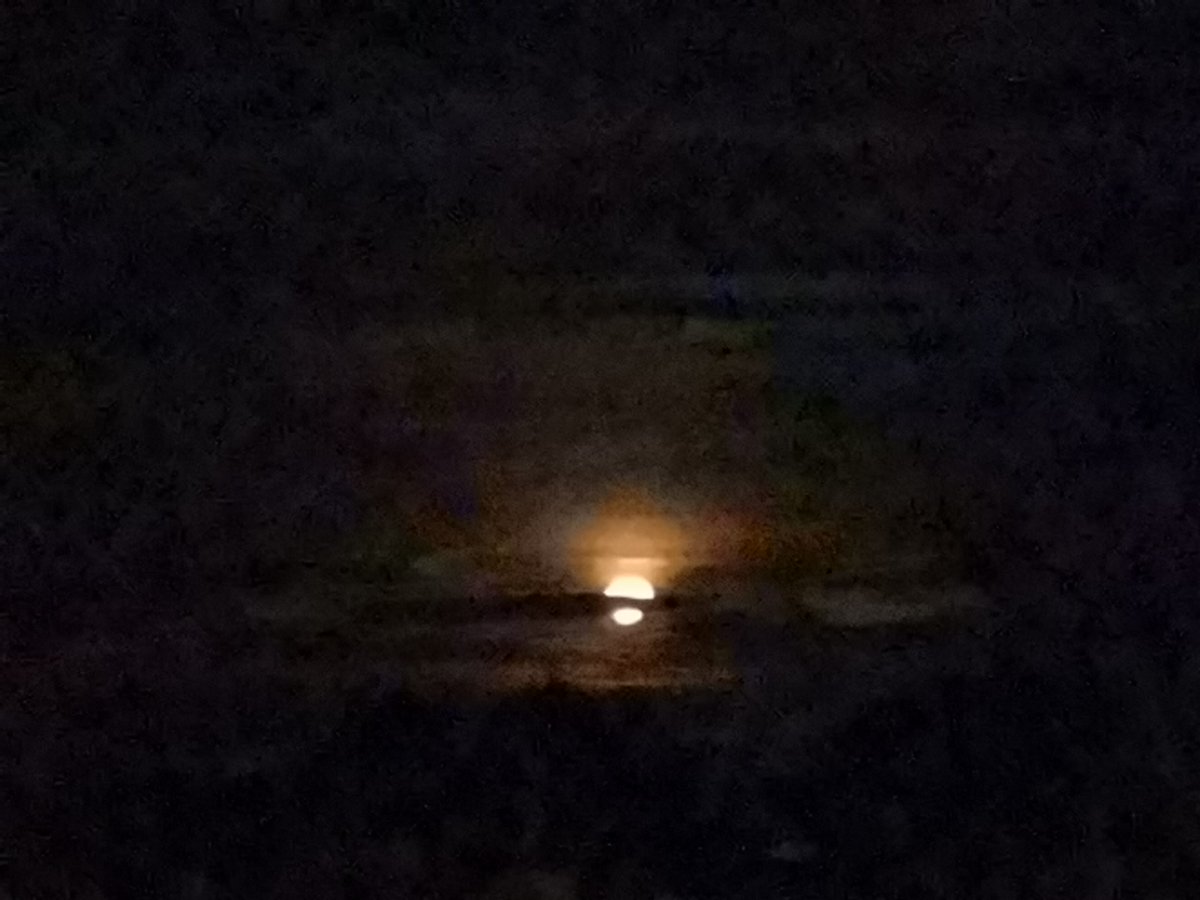 NewBertrand's tweet image. &quot;Autour d&apos;un thé sucré,
au meilleur miel, 
sous la lumière de la lune, 
nous choisirons
l&apos;entente plus que la discorde.&quot; 

#mathematics #histoire #rythms #astronomia #Science #art #moon #lune #luna #orient #occident
 La #danse du Cœur.