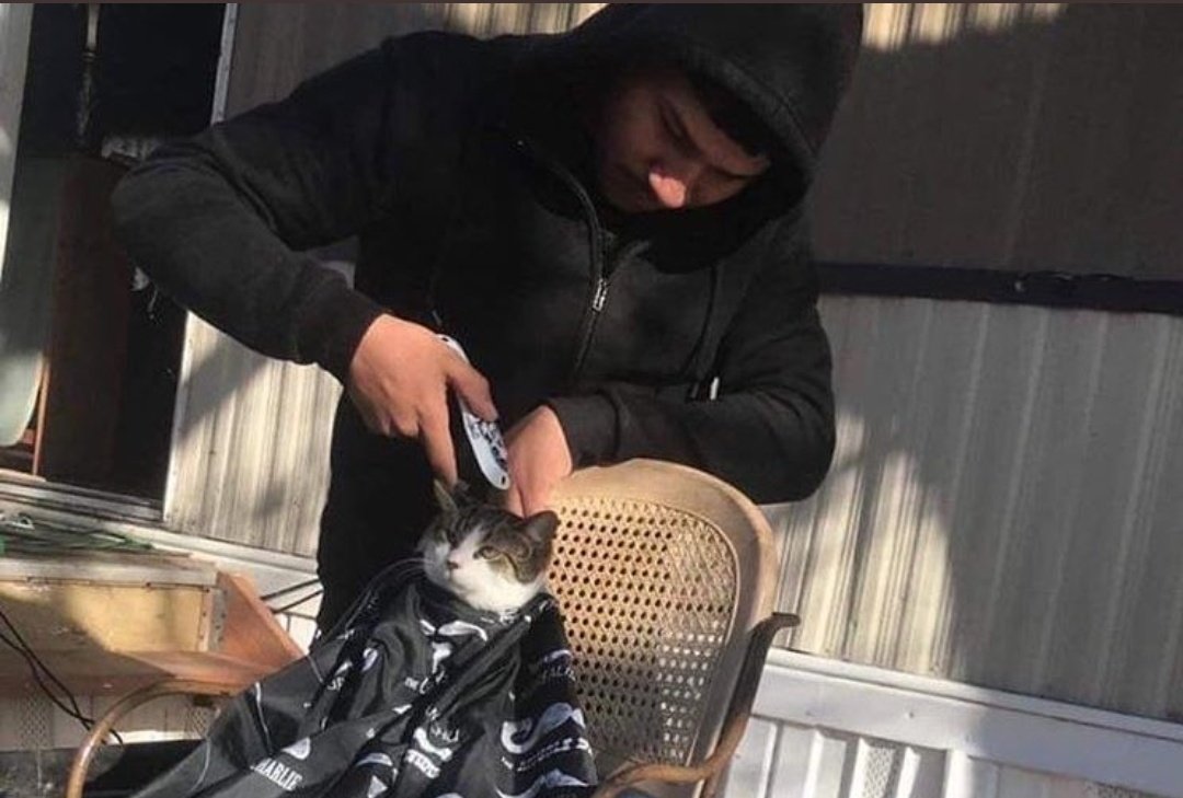 شنو ماكو نعيما؟