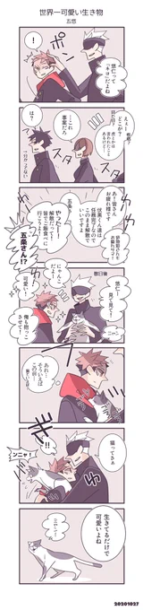 五と虎と猫
道端で野良猫と目が合った瞬間に過ったネタ。 