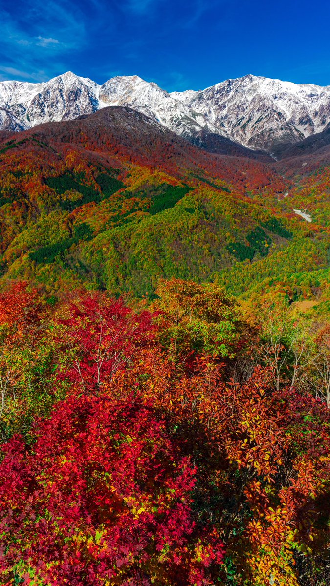 長野縣白馬村 三季絕景一次賞 Dcfever Com