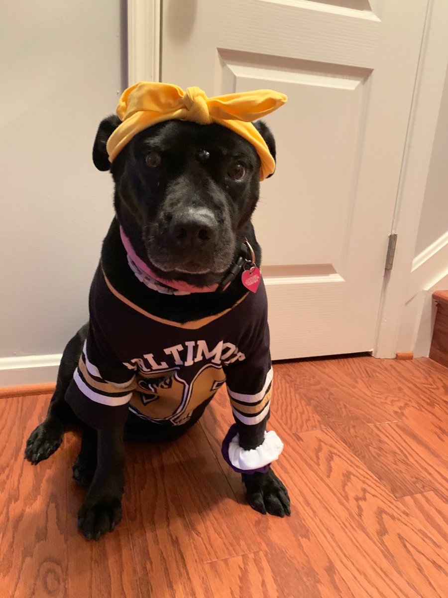 PHESgrade4's tweet photo. Ms. Roussey and her pup Aggie sure do love their Ravens! #PHESpride #AACPSAwesome #SpiritWeek https://t.co/dvXGNMrfwQ