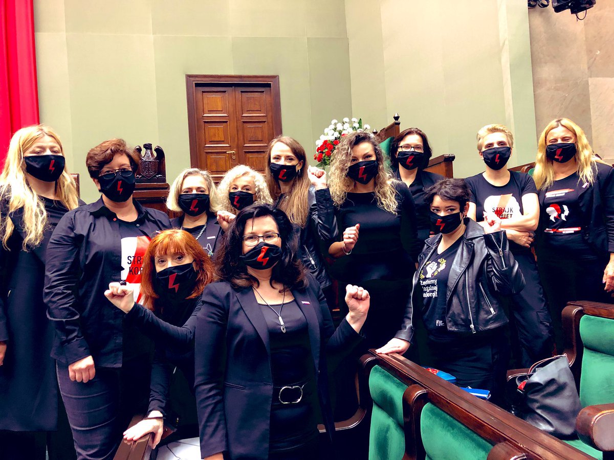 thevoidarchives's tweet image. I believe in Posłanki Lewicy supremacy