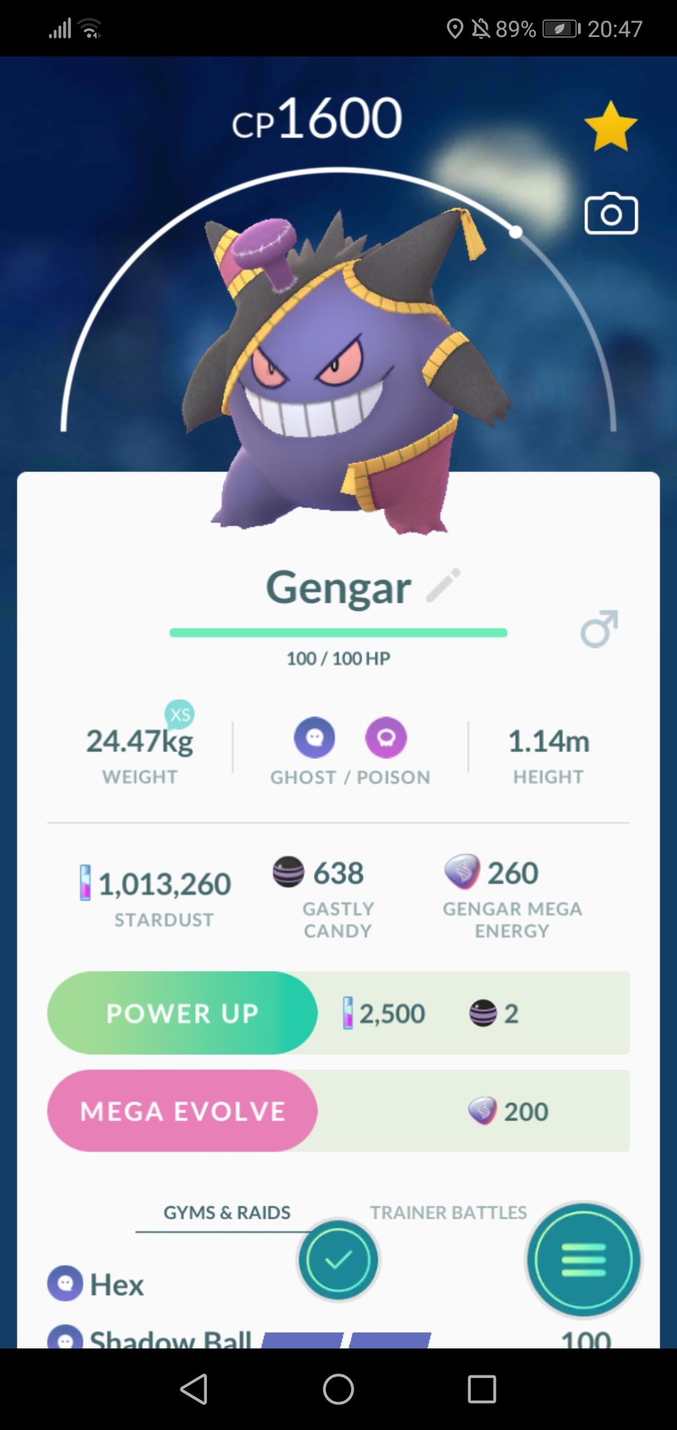 Pokemon Mega Gengar 47