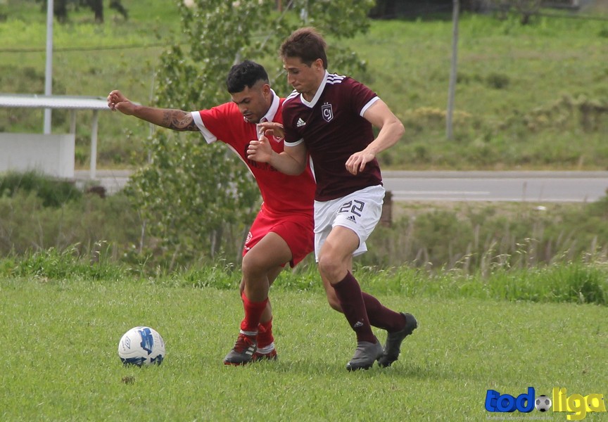 TodoligaTV tweet media