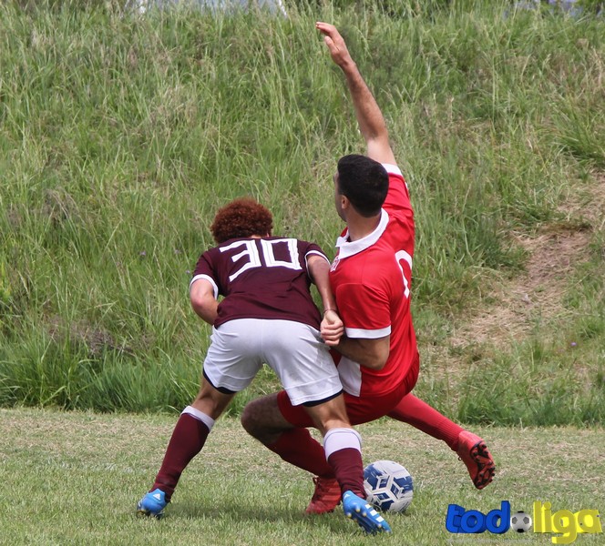 TodoligaTV tweet media