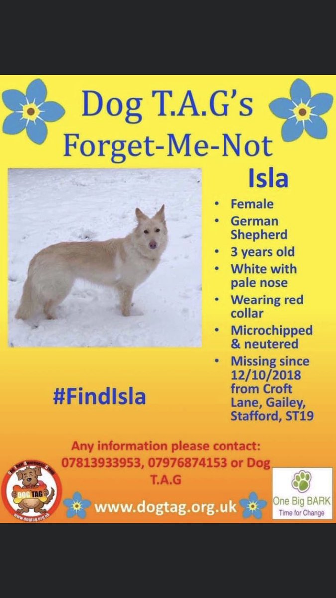 RachaelB100's tweet photo. Where is ISLA?
#Missing Female White #GermanShepherd with light nose. Since 12/10/2018 Croft Lane #Gailey #Stafford #ST19 #Staffordshire #Neutered #Chipped
HAVE YOU SEEN A DOG LIKE HER IN YOUR AREA?
IF YOU HAVE HER IT’S TIME TO LET HER GO HOME!
https://t.co/euARL6sSoO https://t.co/vccoqei2TN