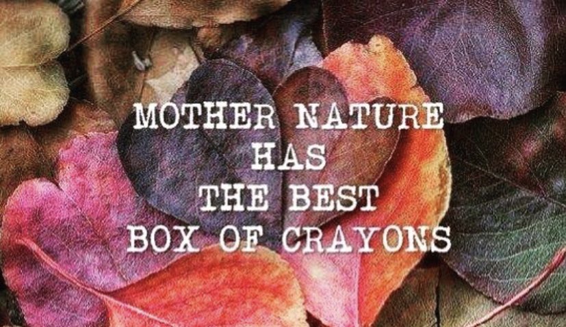 TaralynnMoore's tweet photo. 💛🍁🌻🍂❤️ #tuesdaymood #tuesdayvibes #fallvibes #fallwords #writeaboutit #writerslife #worklife #reallife #writerscommunity https://t.co/YE4hWPe4bV