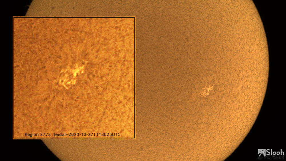 bothacarol's tweet photo. #onlineobserving The Sun has a nice active region today. #Sun #sunspots #Slooh #astronomy https://t.co/qnGAfEgFLz