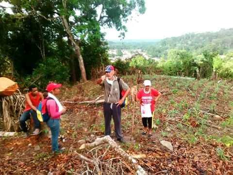 CaripitoBolivar's tweet photo. Así amanecemos en Caripito con una inspección técnica al predio productivo de la Comuna Socialista El Rincón. El maíz en pleno desarrollo. Garantizando la alimentación de nuestro pueblo. @NicolasMaduro @dcabellor @_LaAvanzadora @ErnestoPSUV_ @OmarPSUV_ @mgvillarroel1 @Marlenycdc https://t.co/yzO5j8hQRt