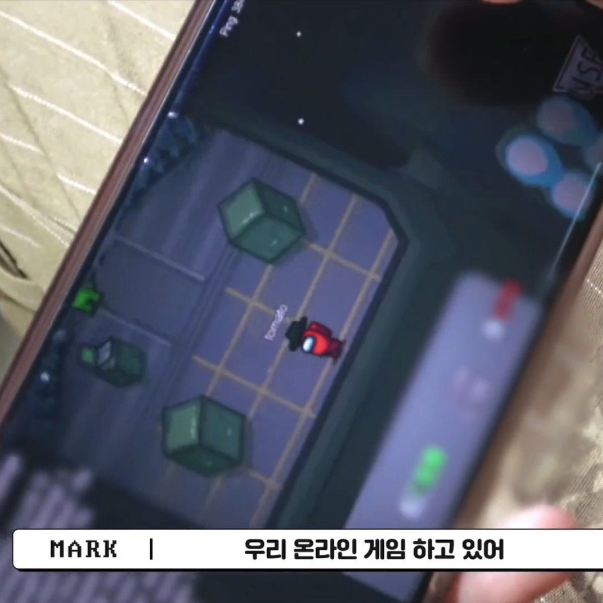 เตนถ่ายม้าคนั่งเล่นอะมองอัส ม้าคตั้งชื่อ tomato น่ารักกกกมาก 555555555555