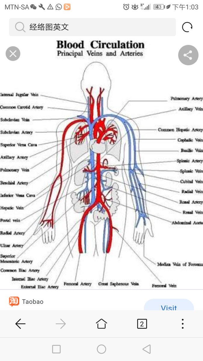 Fuchun71's tweet photo. https://t.co/mLtCKRSjpc