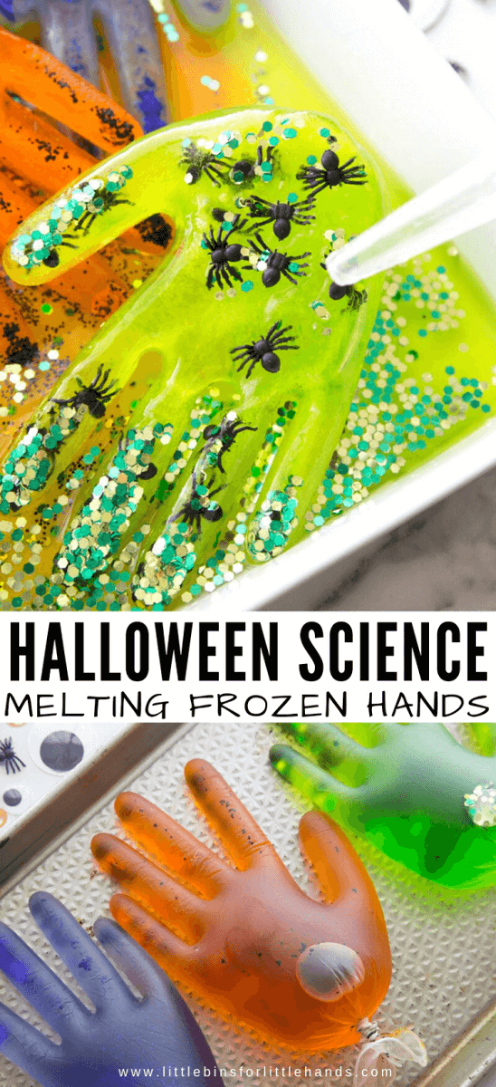 WarringtonDigi1's tweet photo. Make some creepy hands π€ π€ this Halloween with this ice melting experiment! Just need disposable gloves, water, rubber bands, food colouring, glitter, & some Halloween items (such as plastic spiders π·οΈ & eyeballs π!)
https://t.co/A4TKuJLXNF
#MadeDigital #LibrariesFromHome https://t.co/gt6b0CybEY