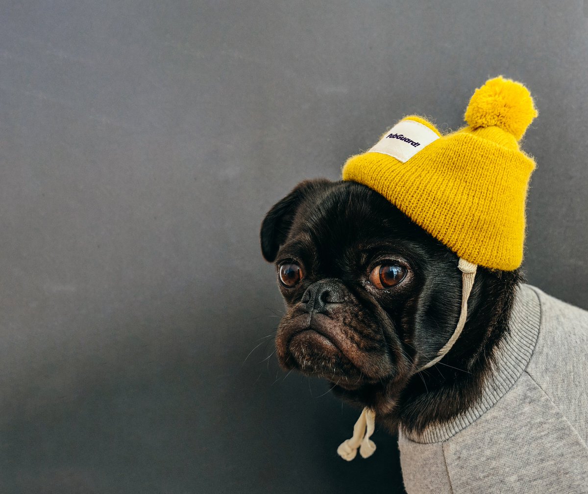 Don’t let bad ads ruin your app! PubGuard stops bad ads by reviewing every single ad impression and creative to identify threats to users and brands. Get in touch with our team to find out more! 👇🔒🐶 pubguard.com #Pubguard #Malvertising #AlwaysOnGuard #AdQuality