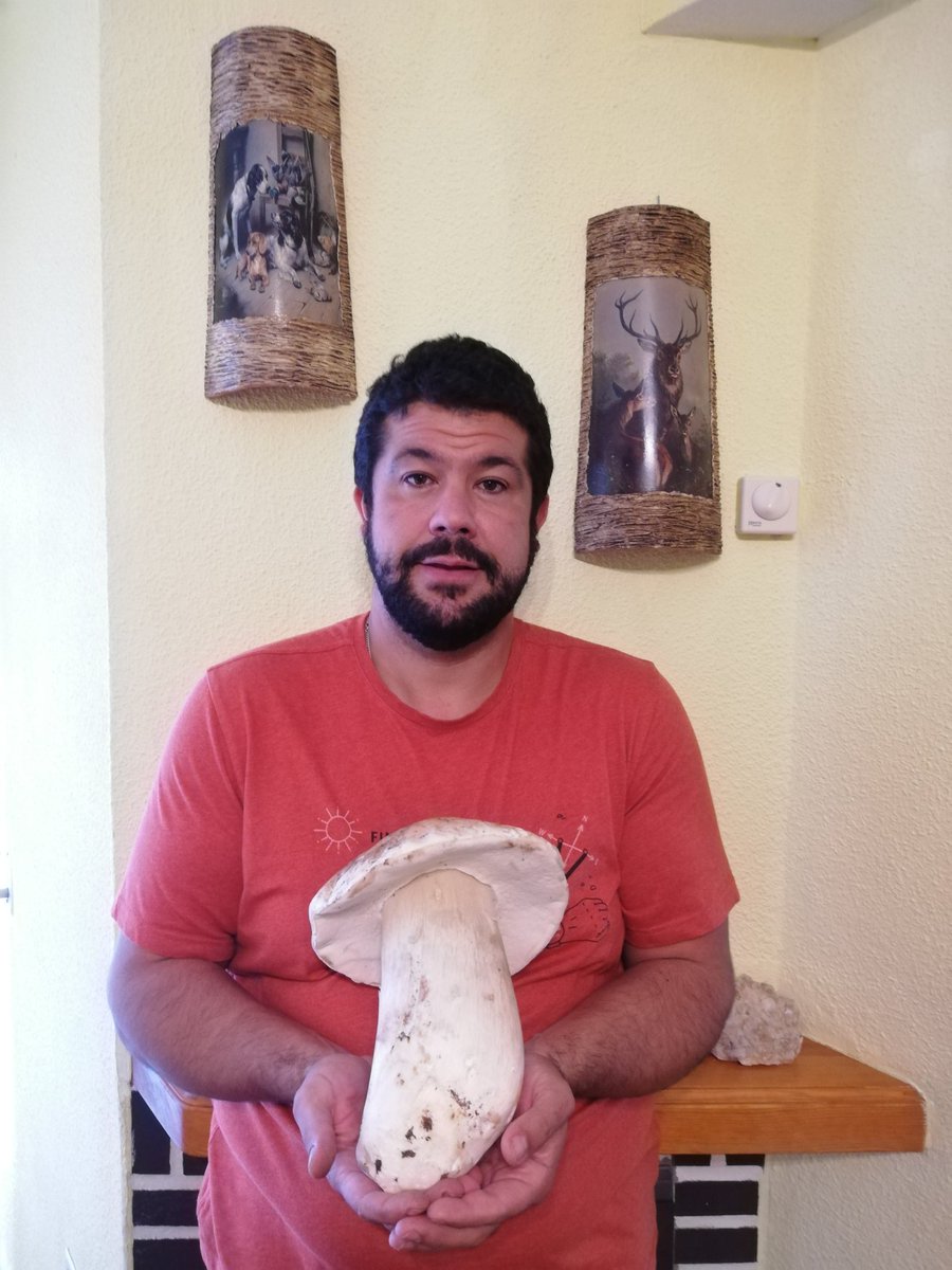 isma_diez's tweet photo. El campo nunca deja de sorprenderte. Si le regalas tu tiempo, él te regala lo que tiene según la época del año. 1.509 gracias! https://t.co/xq46GNNvX3