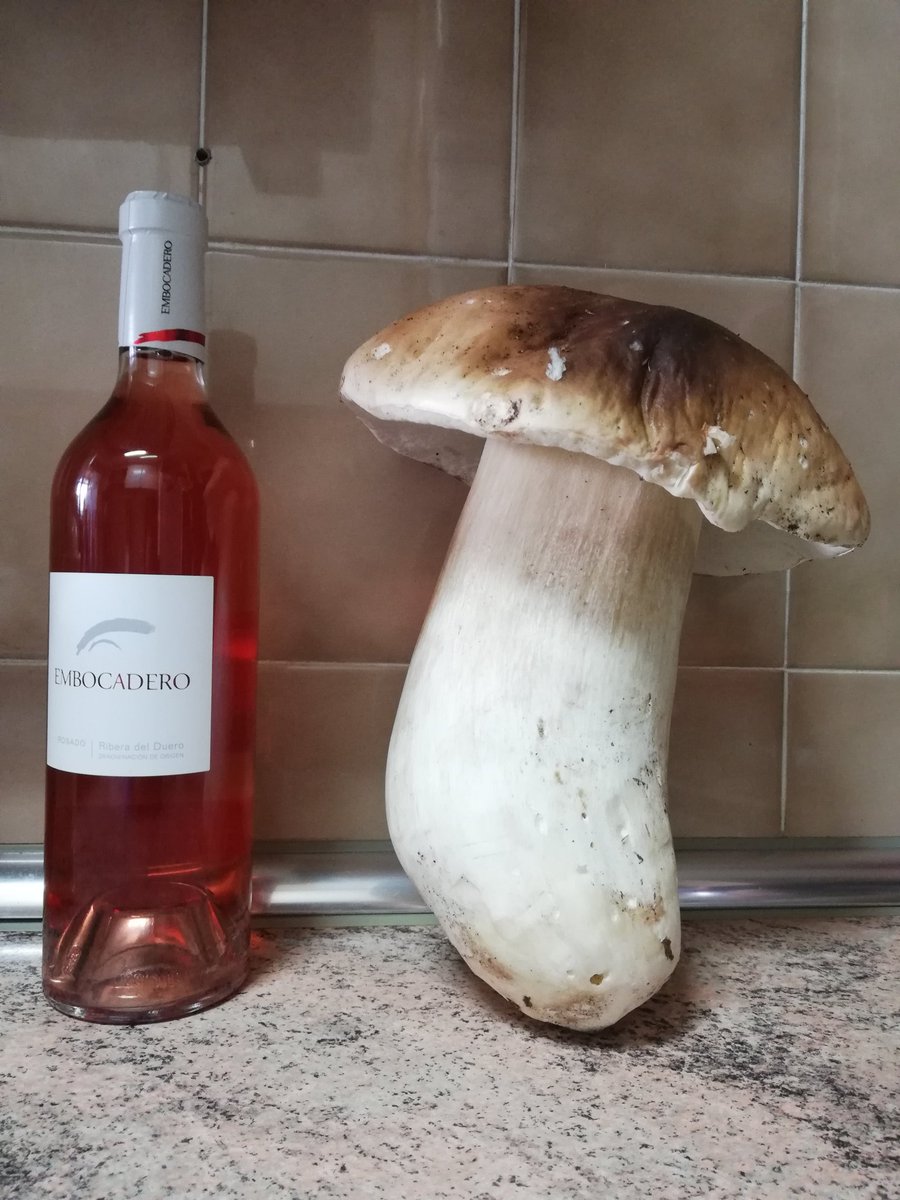 isma_diez's tweet photo. El campo nunca deja de sorprenderte. Si le regalas tu tiempo, él te regala lo que tiene según la época del año. 1.509 gracias! https://t.co/xq46GNNvX3