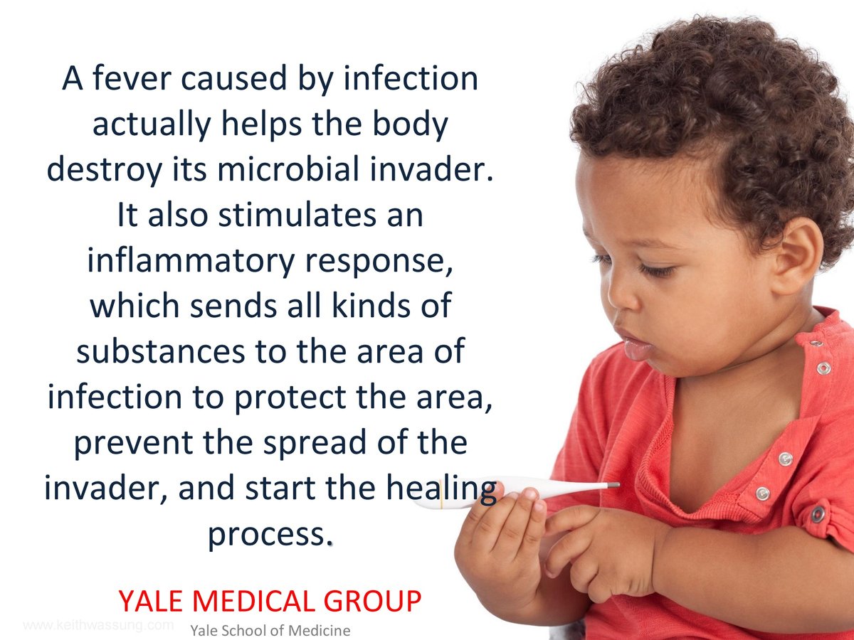 FolsomChiro's tweet photo. A fever caused by infection actually helps the body destroy its microbial invader.
.
#folsomlifechiro #chiropractic #chiropractor #wellness #health #healthylifestyle #athletes #healthyliving #healthfacts #fever https://t.co/qRtnDy2xzR