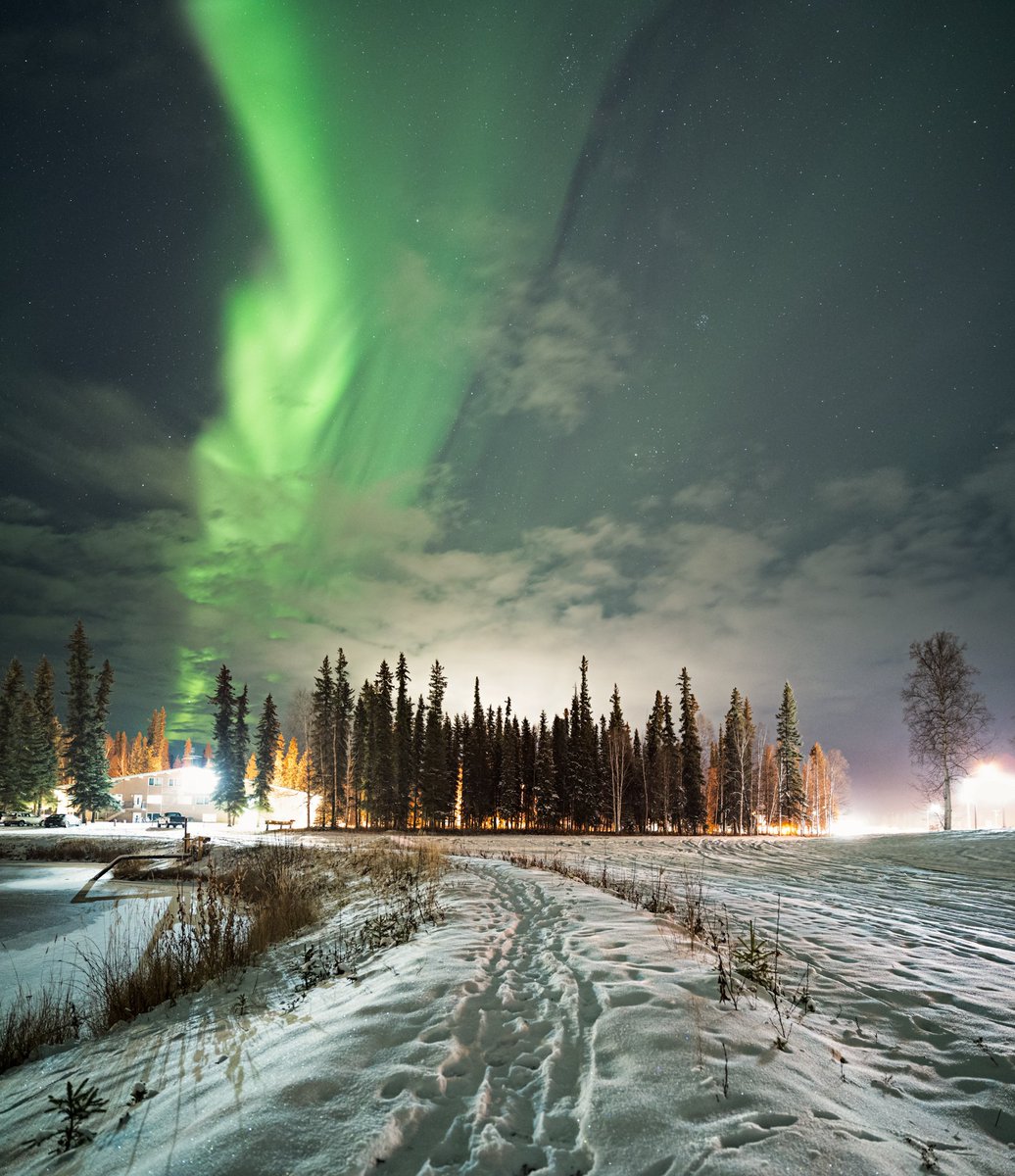 Fun fact: if you hoot at owls, they will in fact hoot back! I think they accepted me as one of their own! To be fair, those flappy fellows probably get some nice views 🦉
#fairbanks #alaska #northernlights #AuroraBorealis #whatahoot