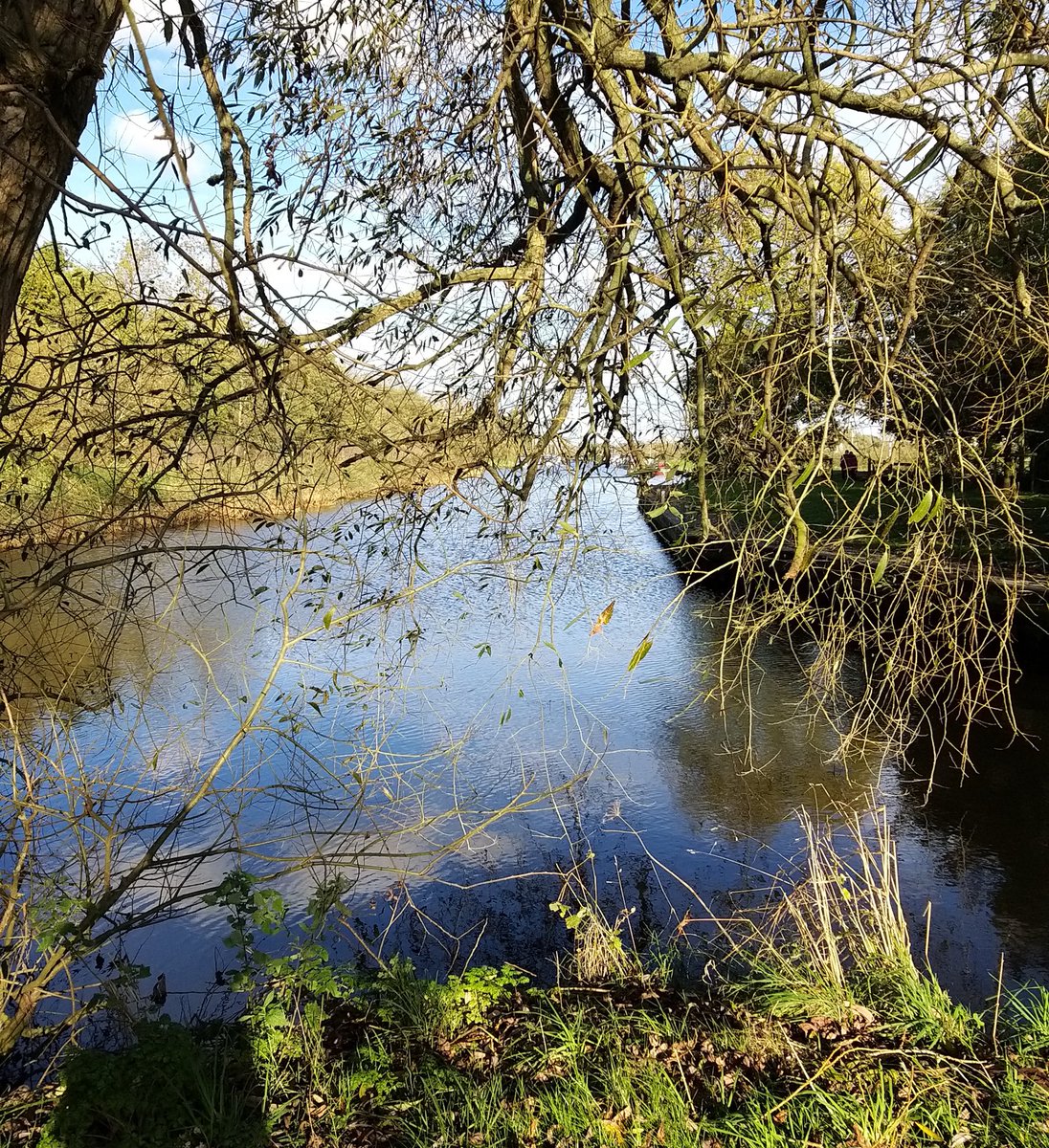 jfmwym's tweet photo. Enjoyed our walk along the Wherrymans Way from #Surlingham to #Loddon on Sunday . https://t.co/jEwImgsWuL