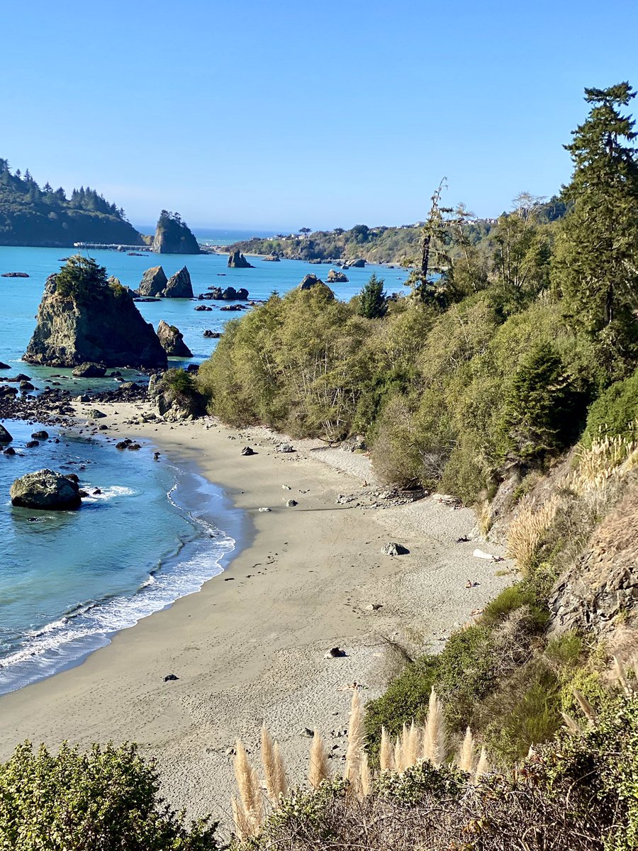 joelsm's tweet photo. What Did The Idiot’s Mother Want For Her 101st Birthday? Get the deets @ https://t.co/i9P9znQ9BD #travel #birthday #centenarian #PacificOcean #TrinidadCA #HumboldtCounty #Moon #TheGreenFlash #Apples #Views #Nudism #Beaches #OceansideHomes #BirthdayWishes #BirthdayPresents https://t.co/2XmxZ0Un4x