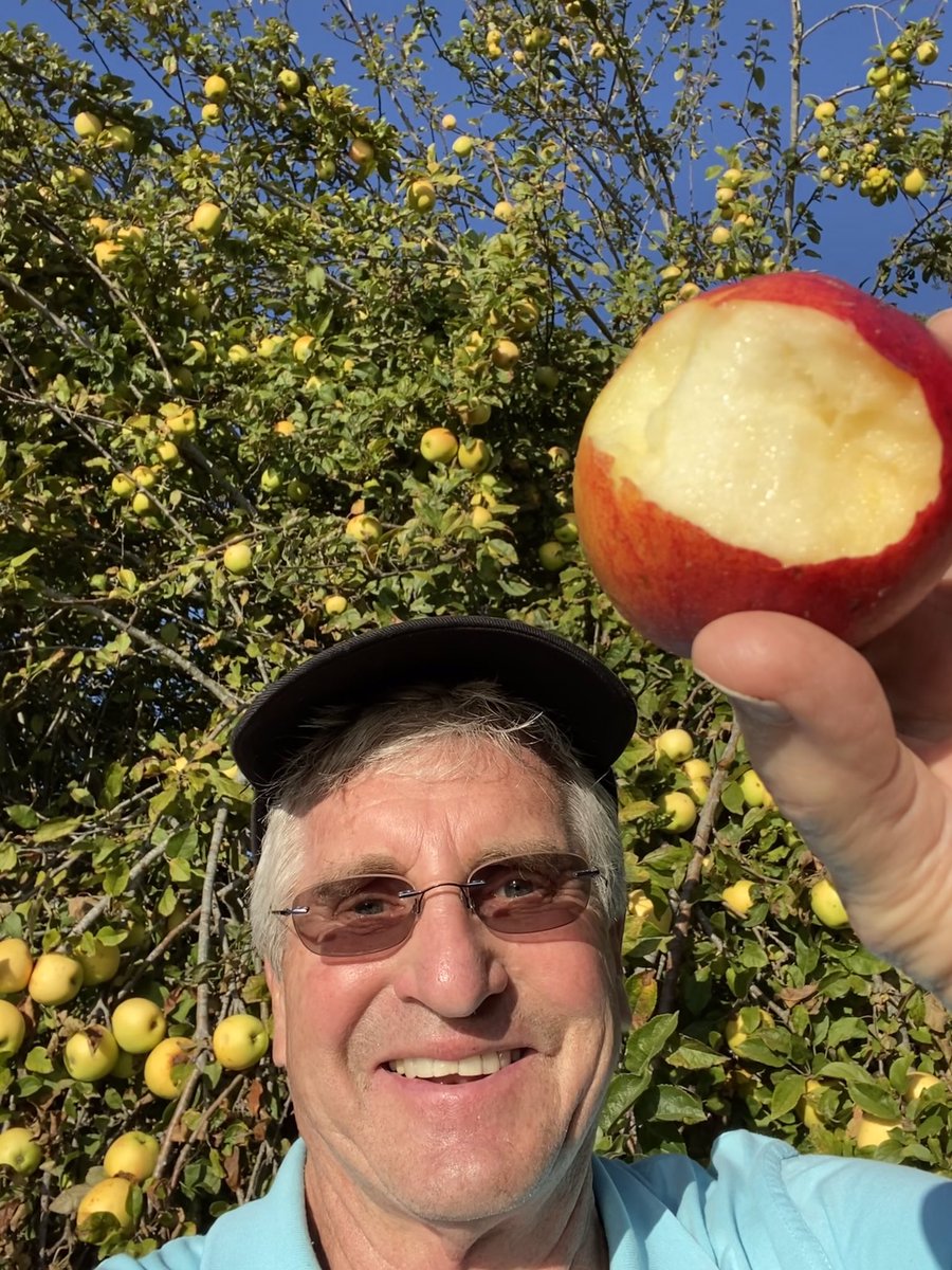 joelsm's tweet photo. What Did The Idiot’s Mother Want For Her 101st Birthday? Get the deets @ https://t.co/i9P9znQ9BD #travel #birthday #centenarian #PacificOcean #TrinidadCA #HumboldtCounty #Moon #TheGreenFlash #Apples #Views #Nudism #Beaches #OceansideHomes #BirthdayWishes #BirthdayPresents https://t.co/2XmxZ0Un4x