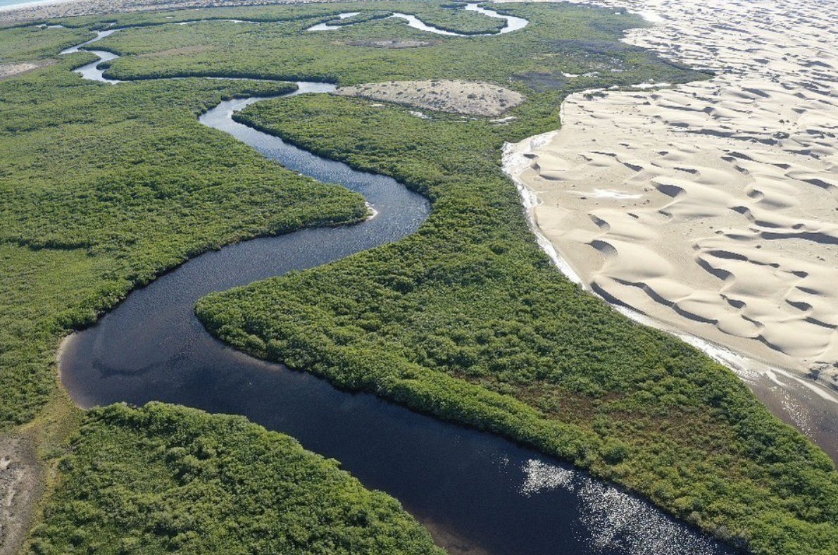 It is up to us to continue to fight for our earth and beautiful Baja, and to treat our world as though it is on its last breath.
<a href="/RegiDomingo/">Regi Domingo</a> at #nakawexperiences
#baja #california #mexico #mangrove #ocean #sustainable #science #coast #beabetterhuman #nakaweproject #ecotourism