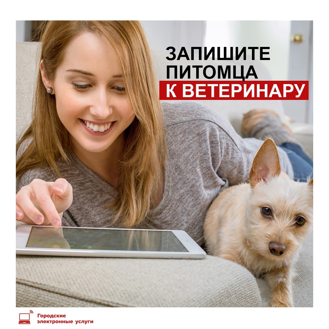🦁 Когда четвероногому другу понадобится Айболит, на помощь придёт https://t.co/9crTChN0oR. Запишите питомца к ветеринару через портал или приложение «Госуслуги Москвы»: https://t.co/OOe3EYCDdq
#питомцы #ветеринар #uslugiMos https://t.co/RH83KyOTM6