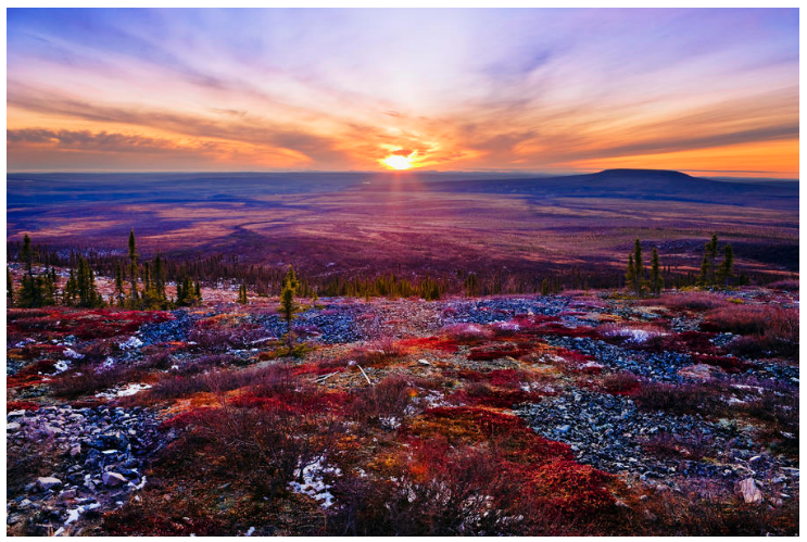 MeanwhileinCana's tweet photo. Fall colours in Yukon #Canada 
Photo by Yves Marcoux https://t.co/KK9VW9Juto